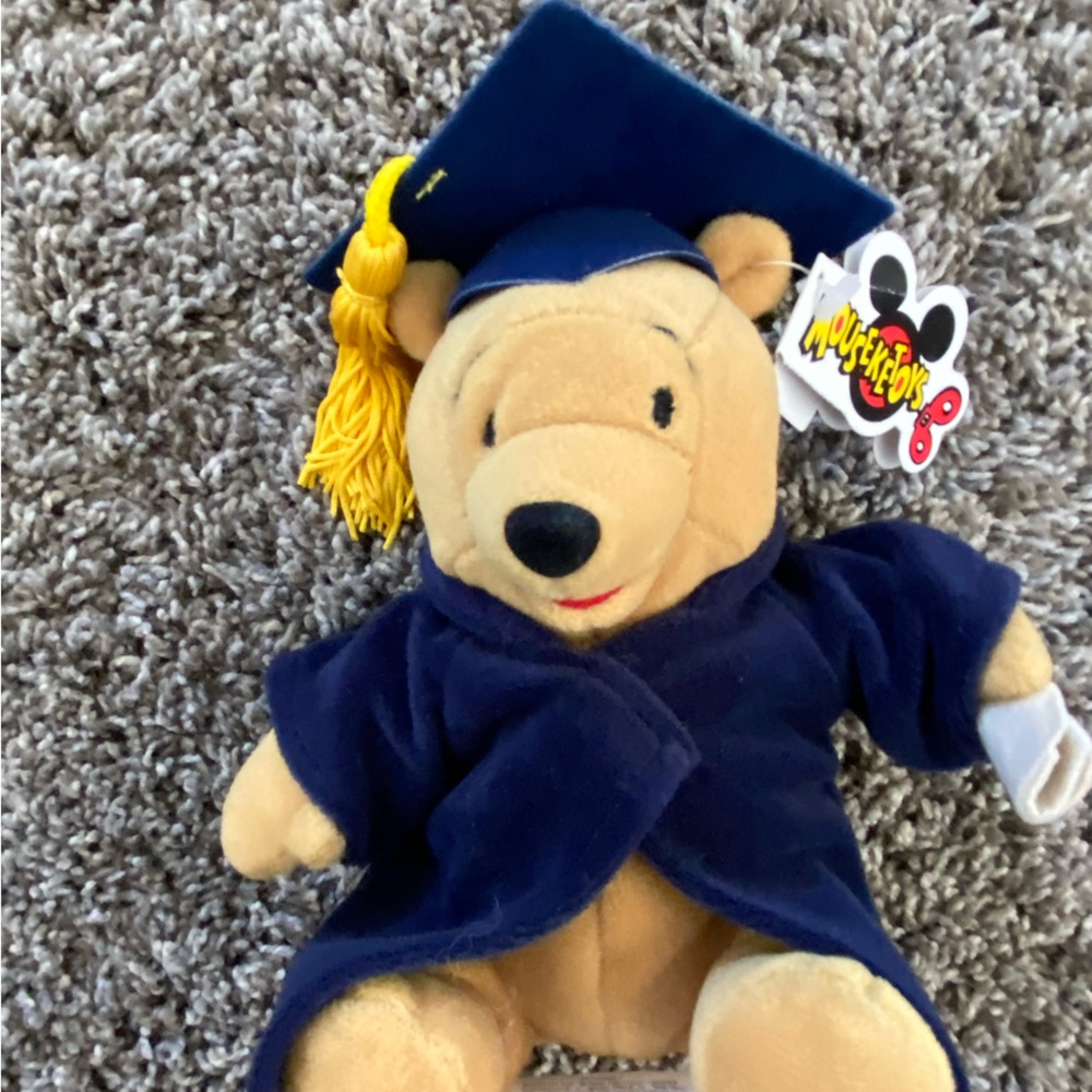 Disney Graduate Pooh Bear Ben bag